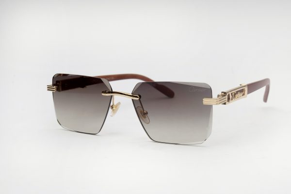 Cartier Sunglasses RBMD-03 – Gold Rimless Shades - Image 3